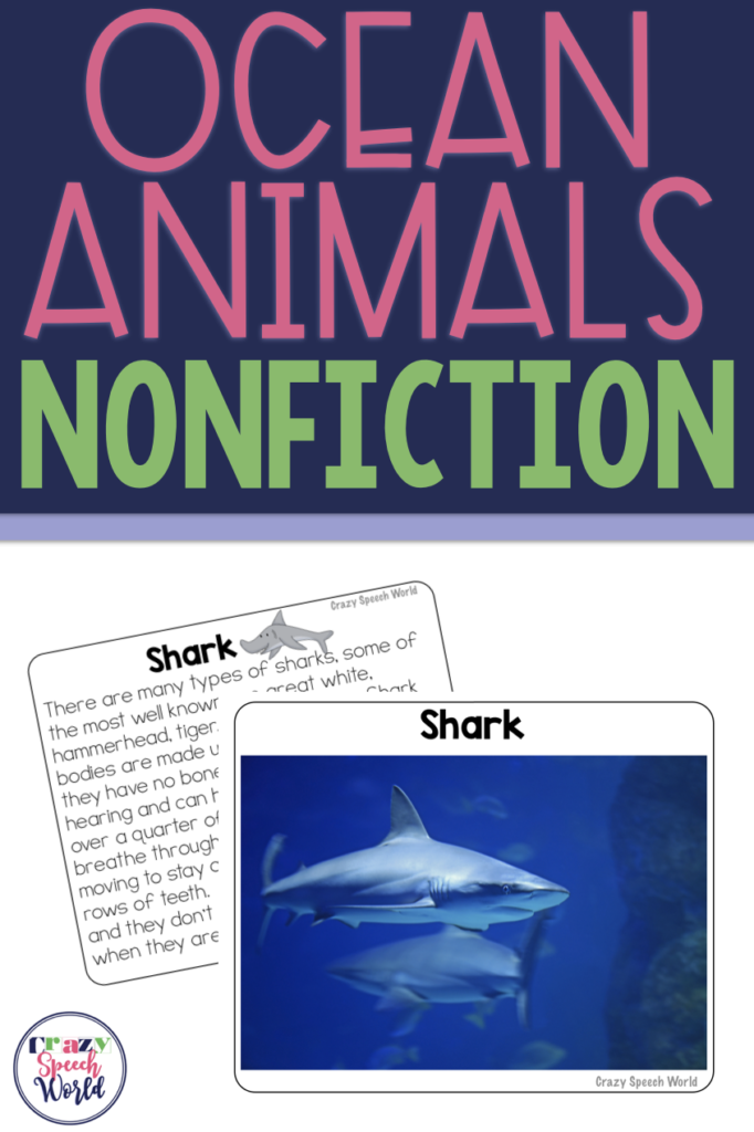 Ocean Animal Facts!