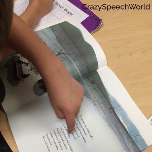 Celebrate Literacy…Speech Style!