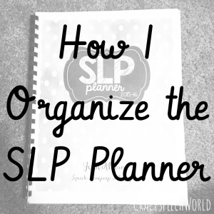 SLP Planner Organization