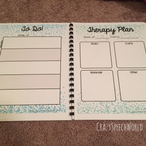 SLP Planner Organization