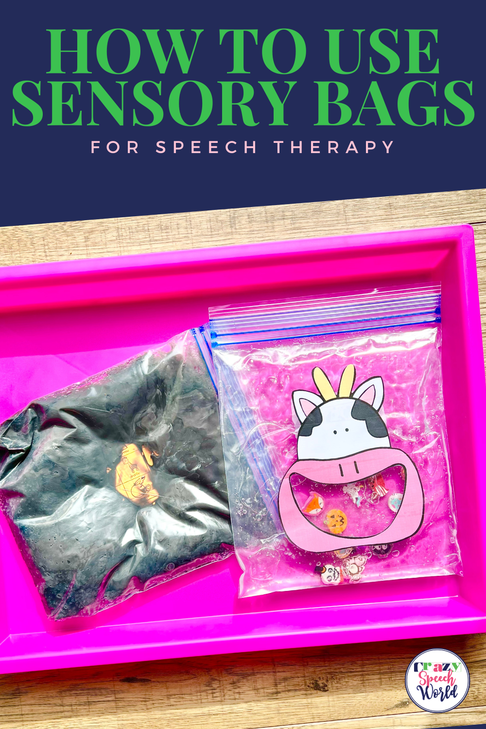 how-to-make-use-sensory-bags-in-speech-therapy-crazy-speech-world